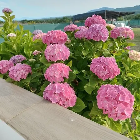 House Zvonko Near Np Krka Sedramic