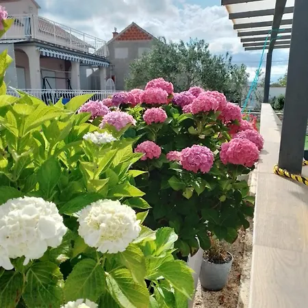 House Zvonko Near Np Krka Σπίτι διακοπών Sedramic