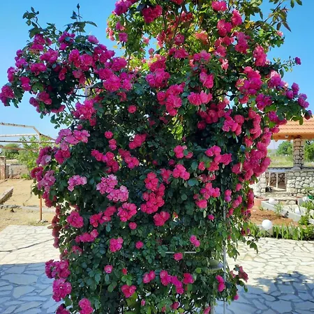 House Zvonko Near Np Krka 度假居 Sedramic