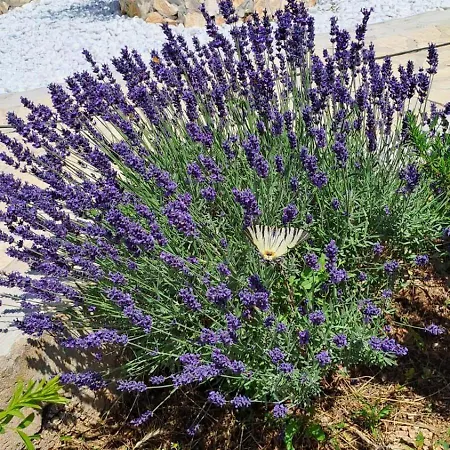 House Zvonko Near Np Krka