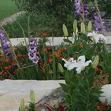 House Zvonko Near Np Krka